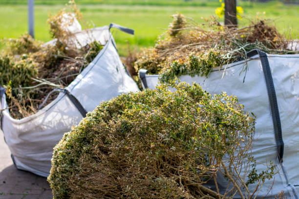 Best Moving and Downsizing Cleanouts  in Osawatomie, KS